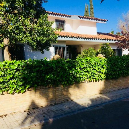 Villa Ferrer Sevilla Ginés Exterior foto